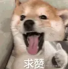 屏幕截图 2025-01-03 223802.png