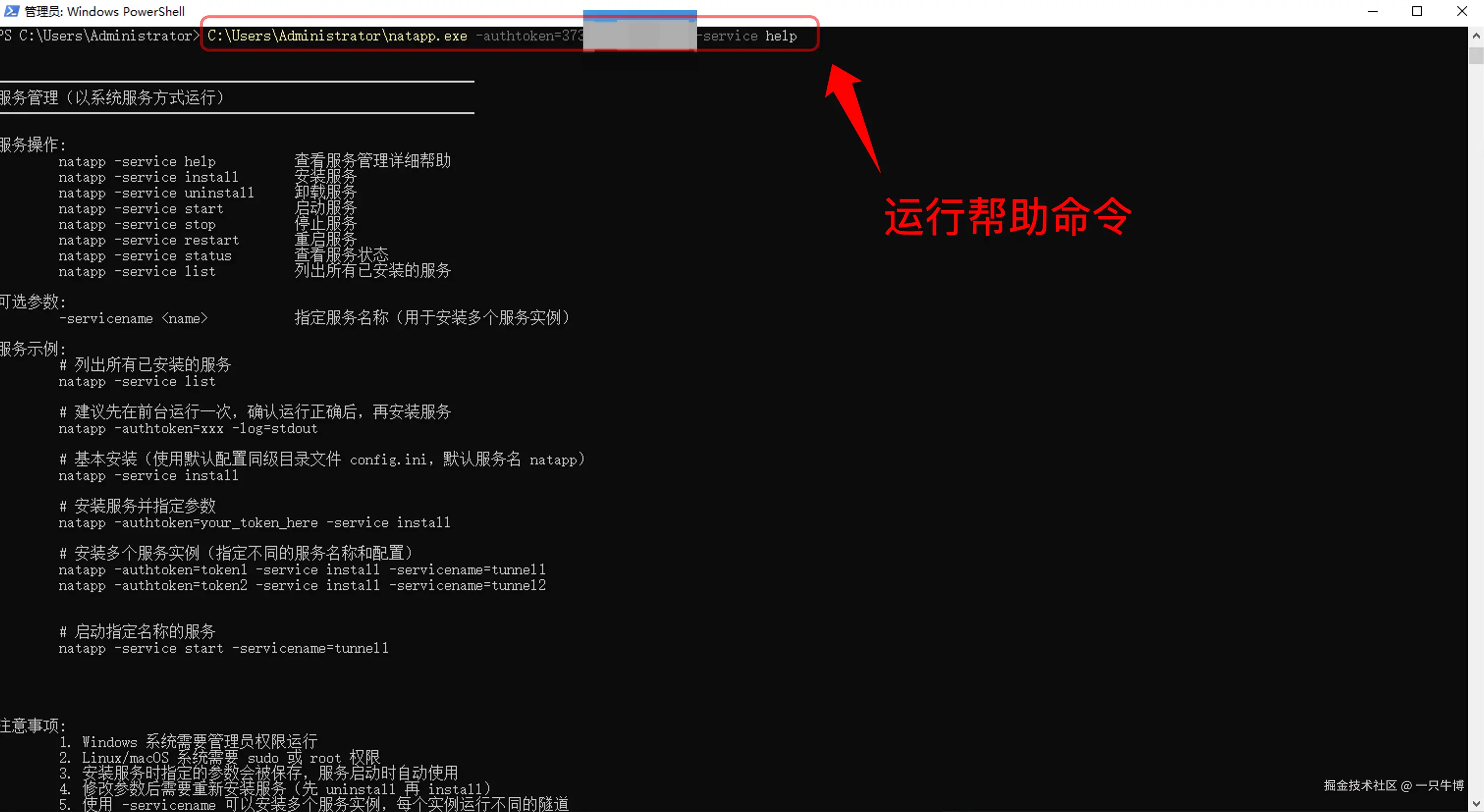 查看 Natapp 的系统服务管理参数