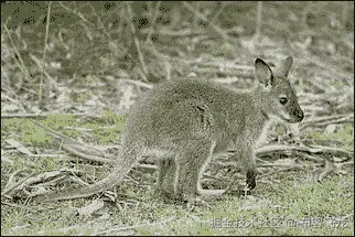 The is in and any all methods