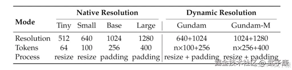 DeepSeek-OCR Native Resolution Dynamic Resolution