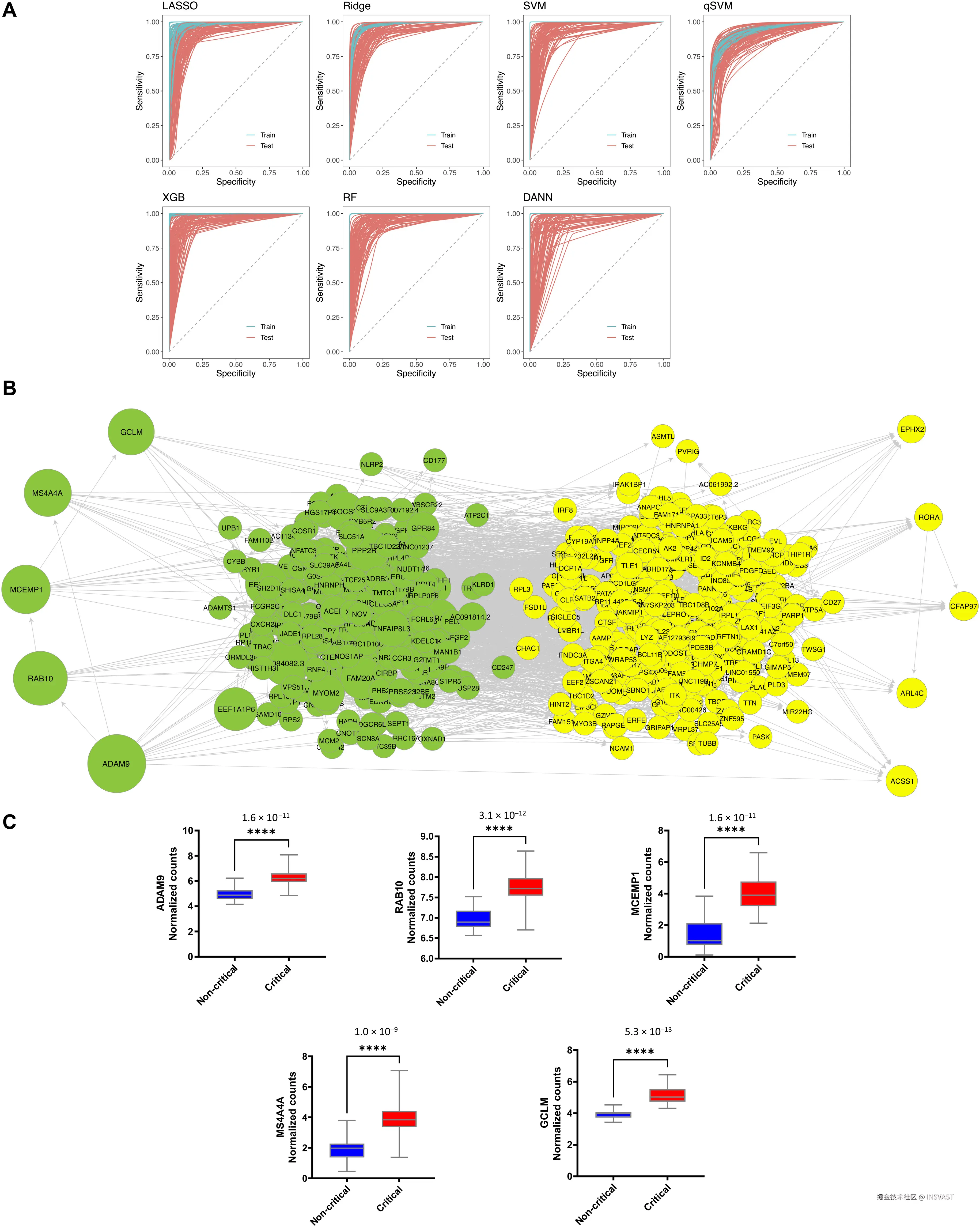 图6   整合人工智能、机器学习和概率编程区分非重症和重症COVID-19患者  (A) 显示七种建模方法在重症与非重症比较中训练集和测试集的ROC曲线。所有方法表现相似。其他分类指标见表S3。  (B) 推测网络显示基于对重症与非重症患者RNA测序数据分类最具信息量的前600个基因的因果信息流。  (C) 箱线图显示识别区分重症和非重症患者的5个驱动基因的标准化基因计数。标示值对应FDR。数据包括46名重症和23名非重症患者。