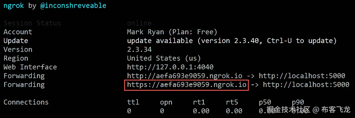 Figure 8.39 – Output of ngrok 