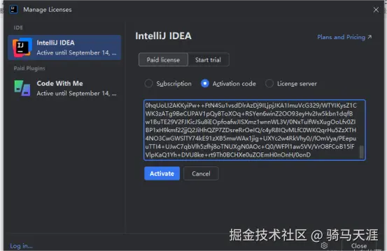 image-20250427214626538