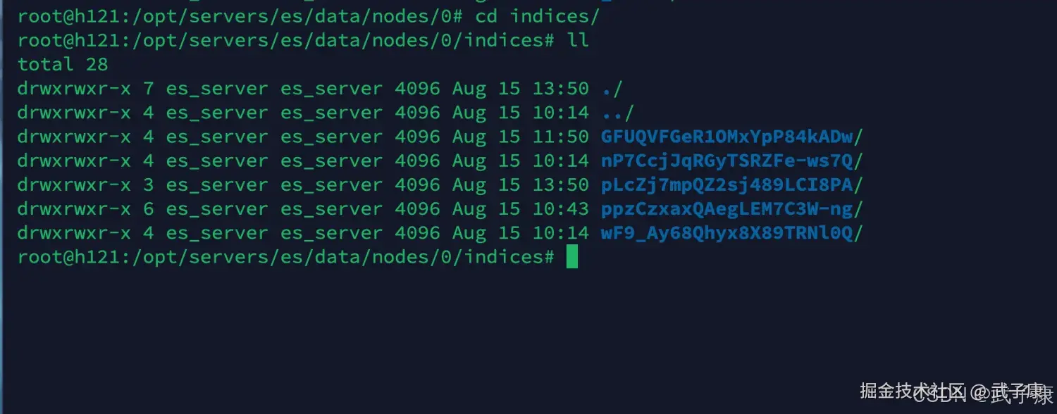 Elasticsearch 数据目录