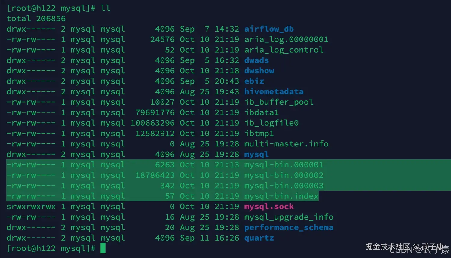 验证 binlog 文件生成