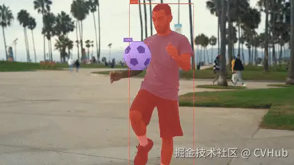 football_vis_demo.gif