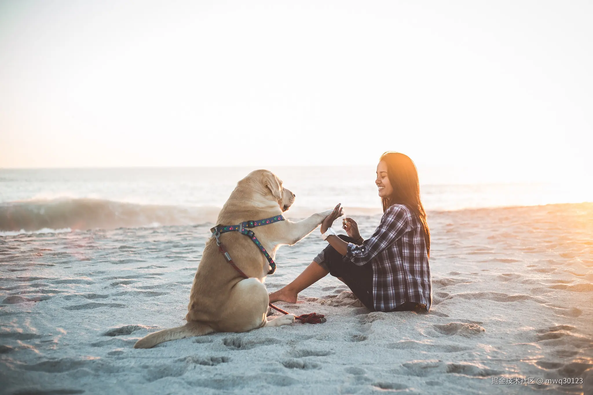 dog_and_girl.jpeg