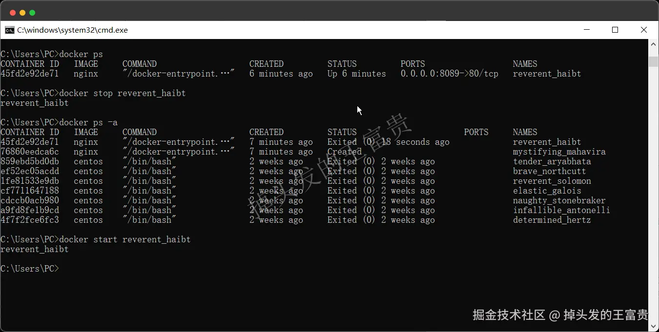 image-20240815195944080