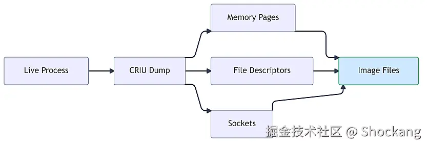 criu-process-state-dump