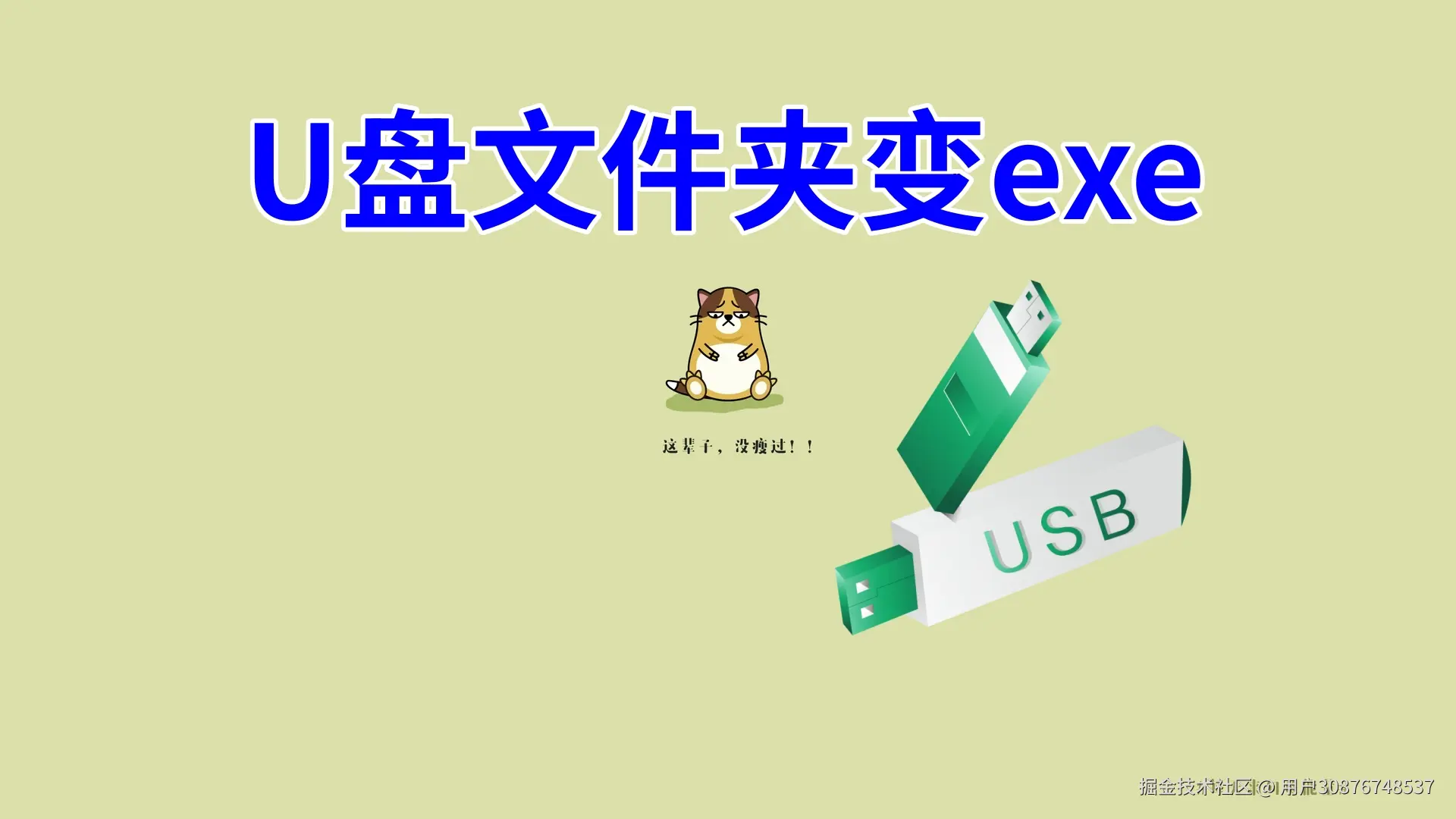 U盘文件夹变exe：全面解析与数据恢复指南