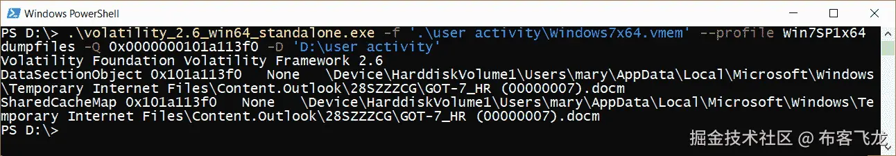 图 4.11 – Volatility dumpfiles