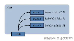 arp5.png