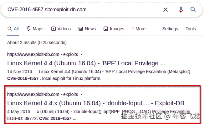 图 10.17 – CVE-2016-4557 Google 搜索