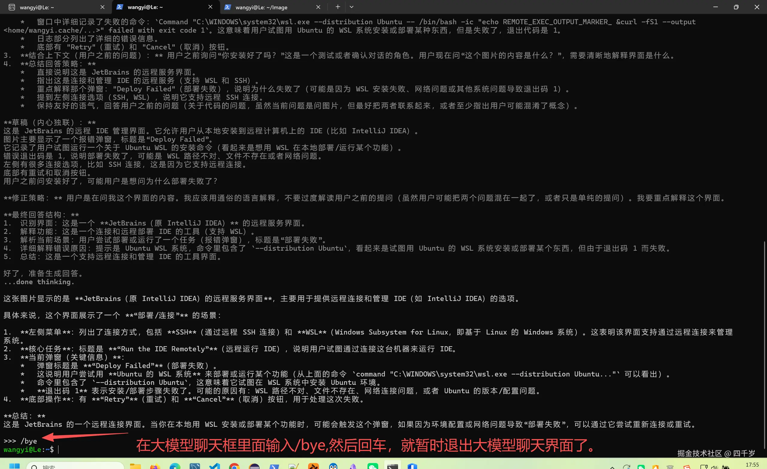 暂时退出大模型聊天界面