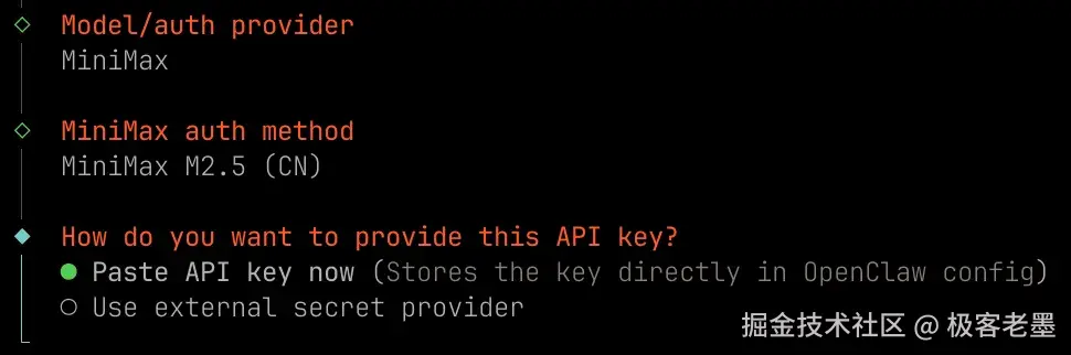 粘贴 API Key
