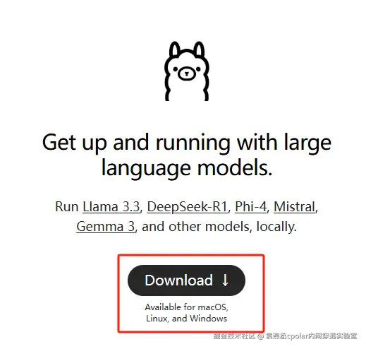 image-20250408144901346