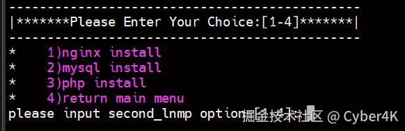 image-20250525203821874