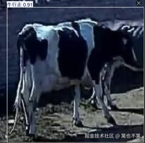 image-20251109013317729