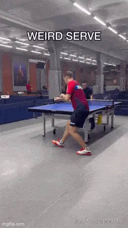 IMG_4865.GIF