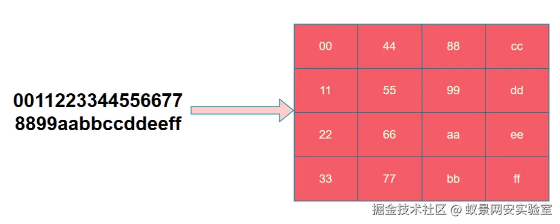 image-20251115082240455