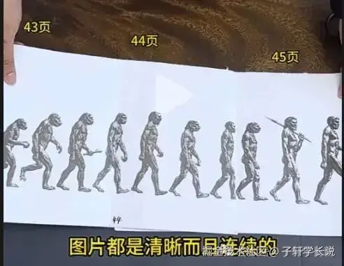 进化树正确模型