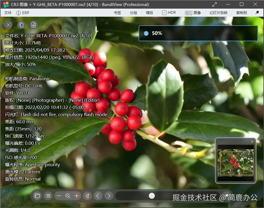 查看 RW2 图像