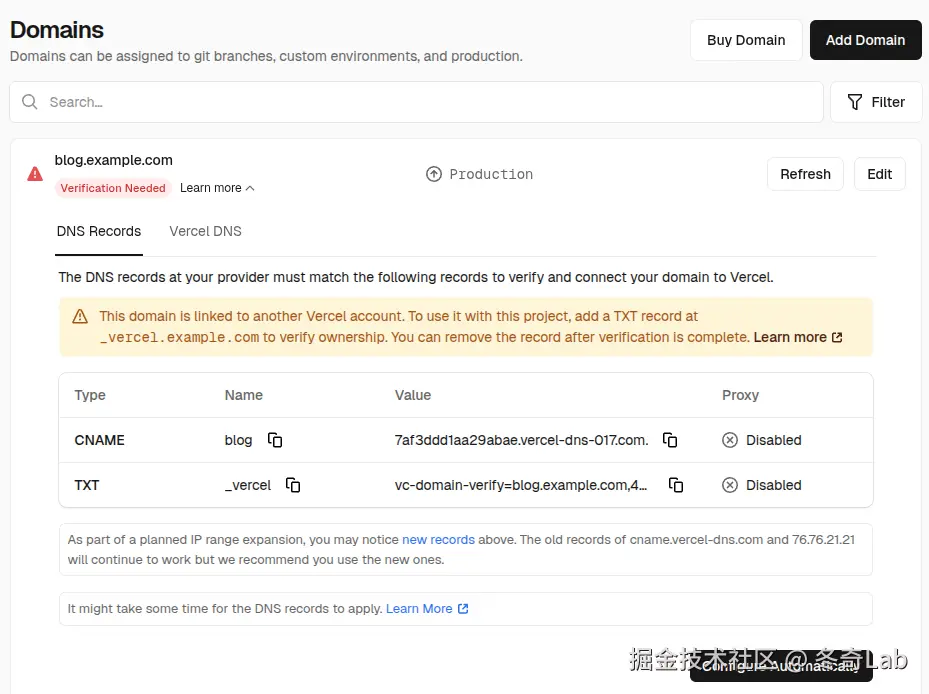 vercel-dns-instructions.png