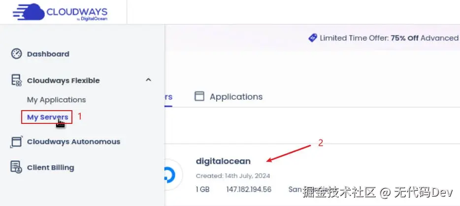 进入Cloudways服务器设置页面