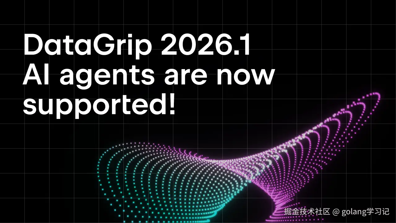 DataGrip 2026.1 封面