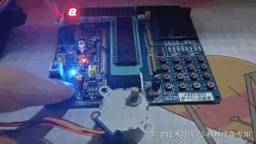 12.gif