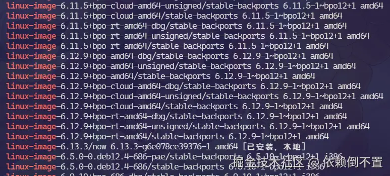 image-20250218194059806