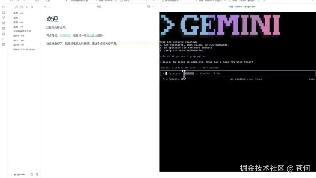 wxv_4290157937164910592