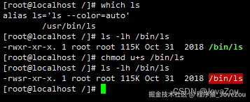 /bin/ls 二进制文件添加特殊权限位