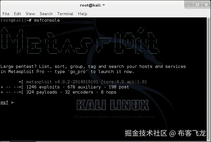 检测易受攻击的主机