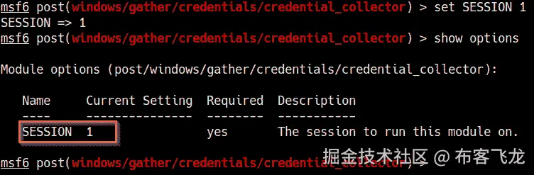 图 7.20 – 模块选项