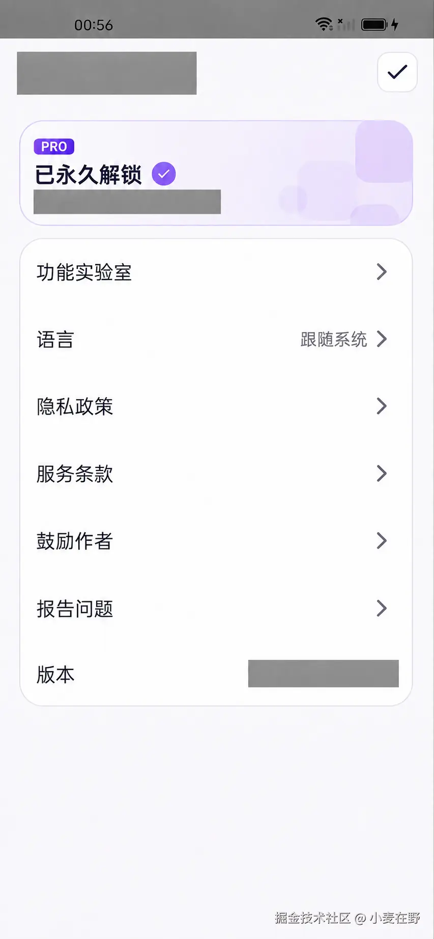 购买后的 Pro 状态