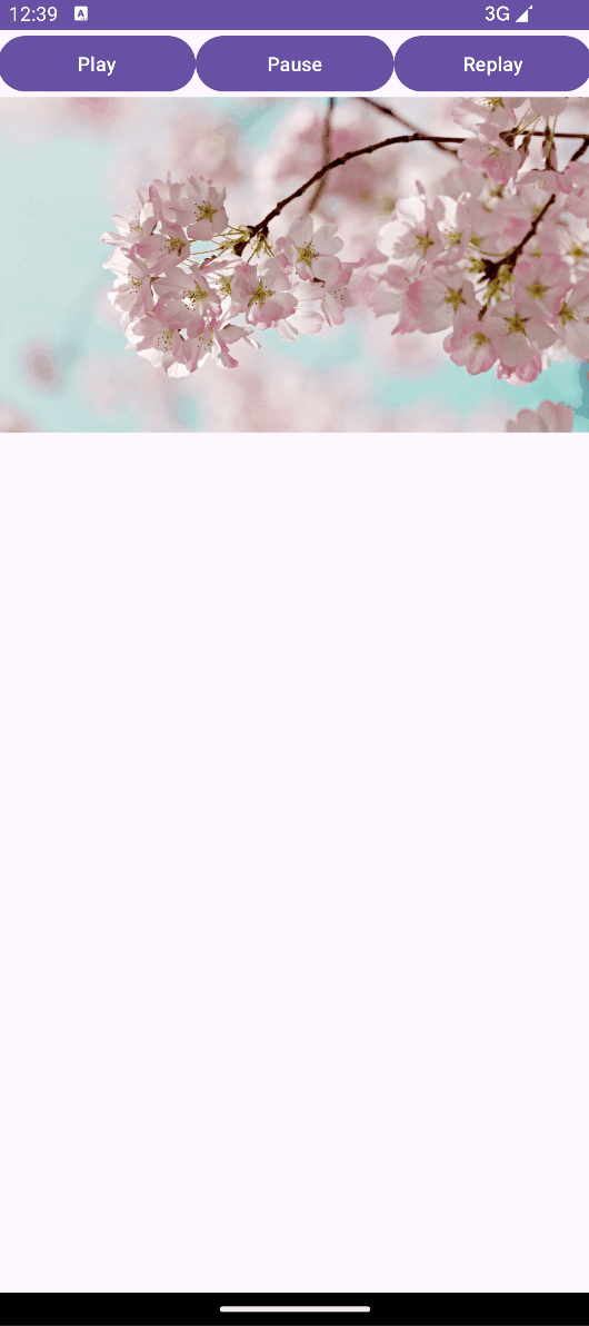 image.gif
