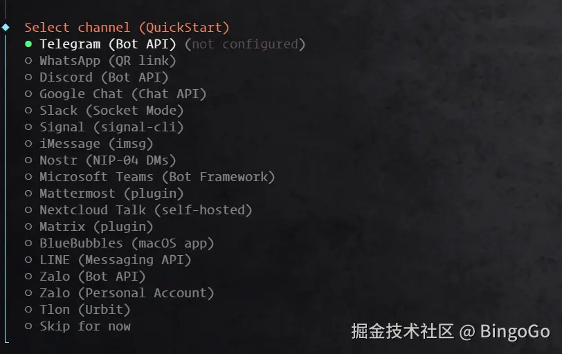 Openclaw (原 Clawdbot) channel 渠道配置选项