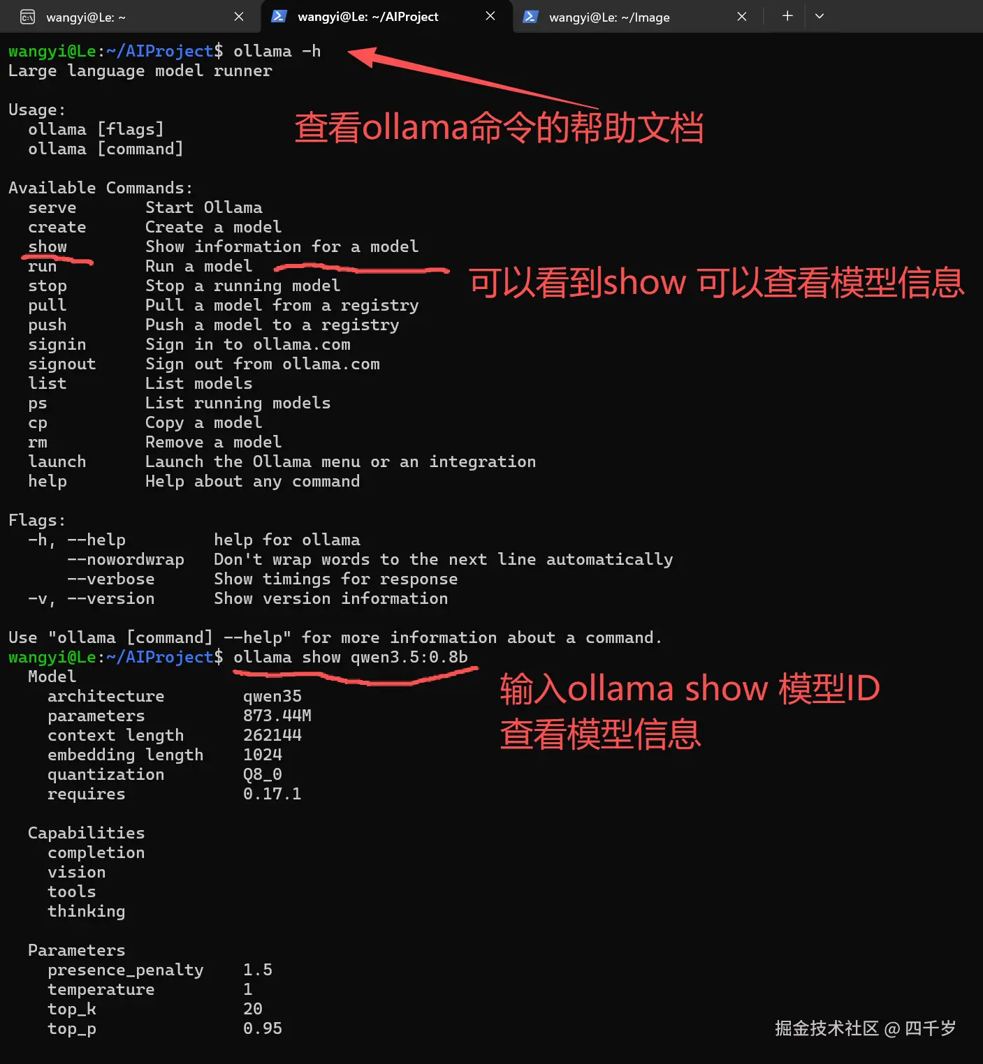 查看大模型的详细信息