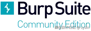 Burp Suite Community Edition logo