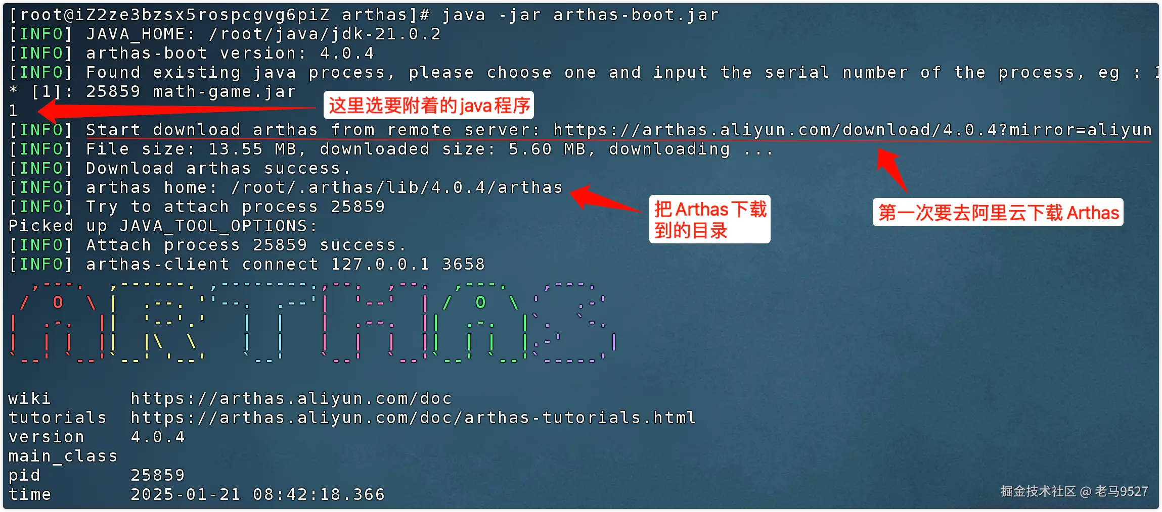 image-20250121085344329