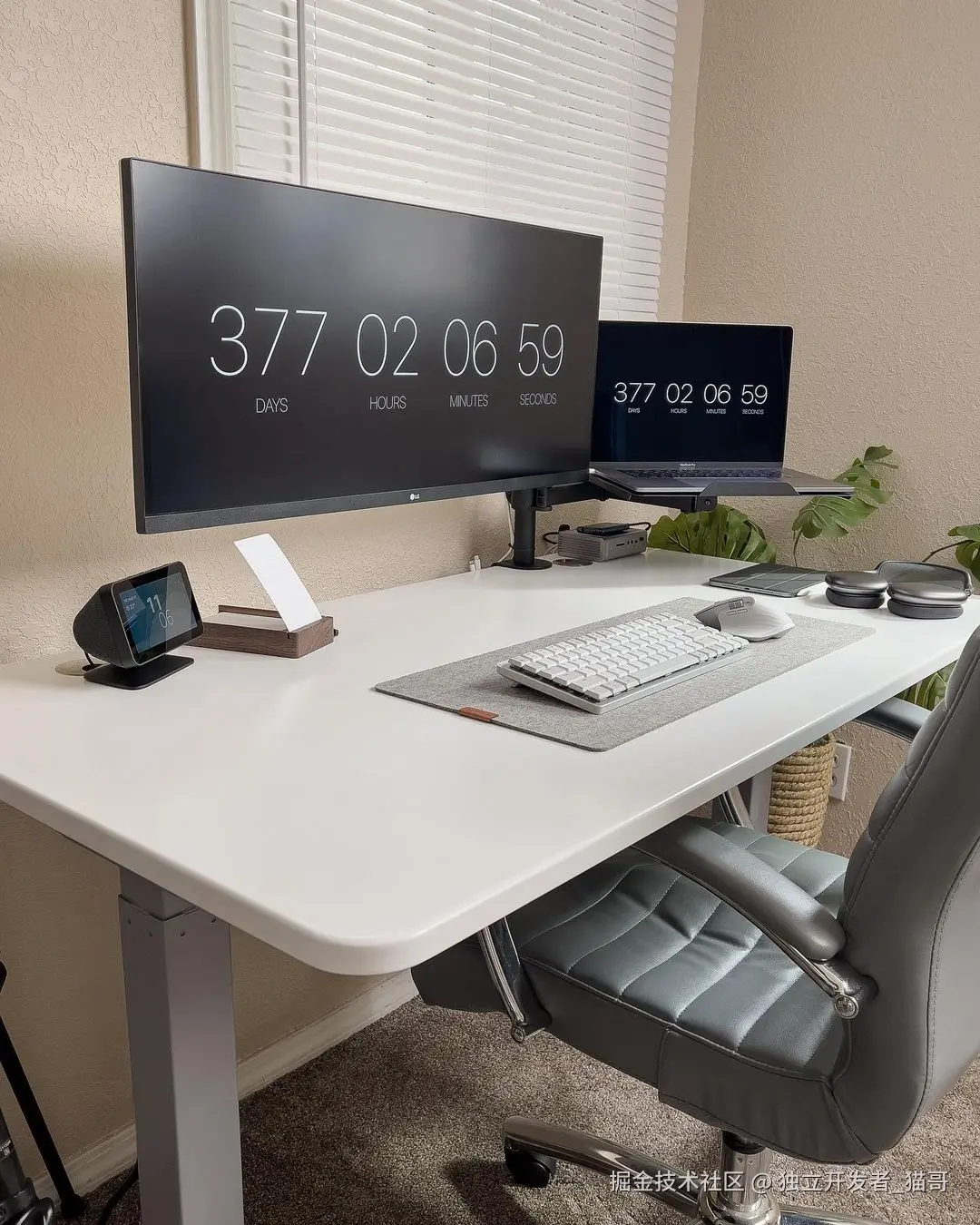 学习 Flutter 的最佳路线图