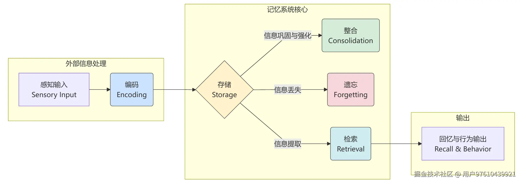记忆形成过程
