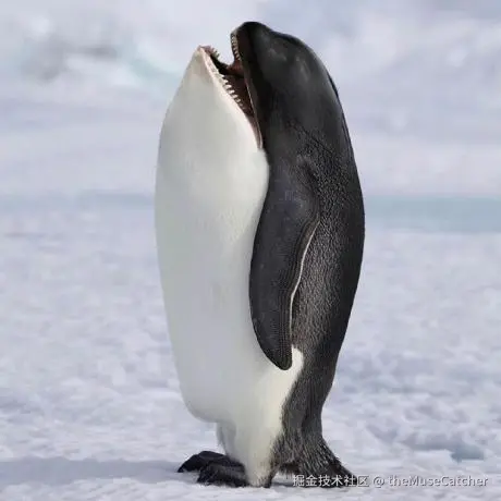 GitHub@themusecatcher