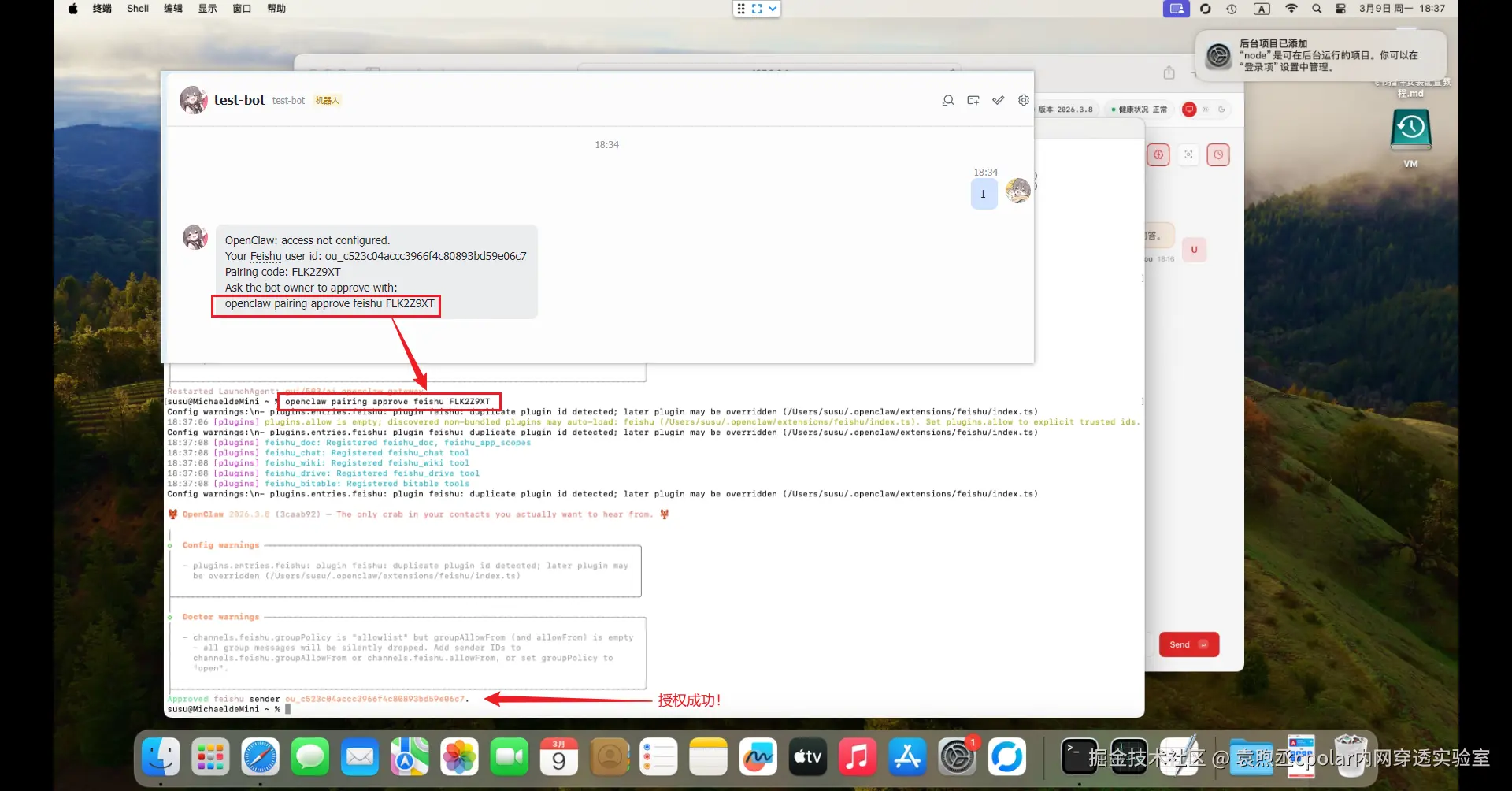image-20260309183753230