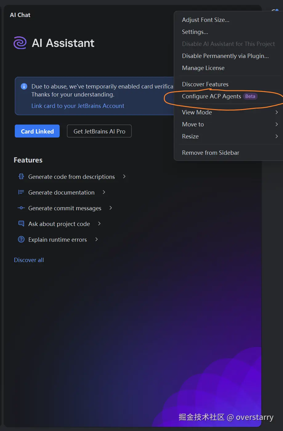 goland-acp-config-window.png