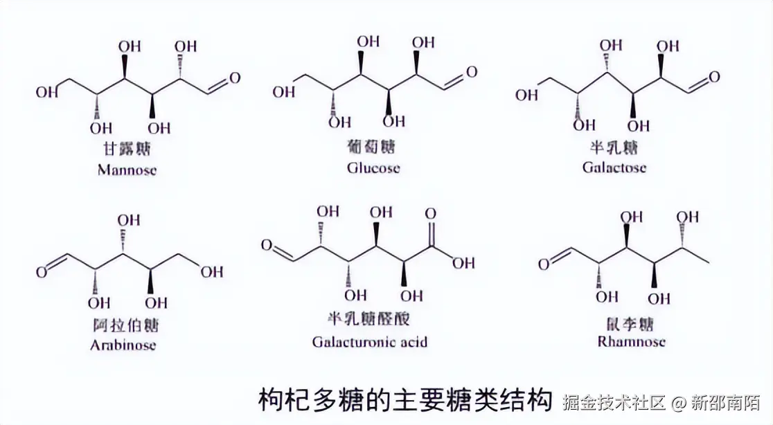枸杞多糖.jpeg