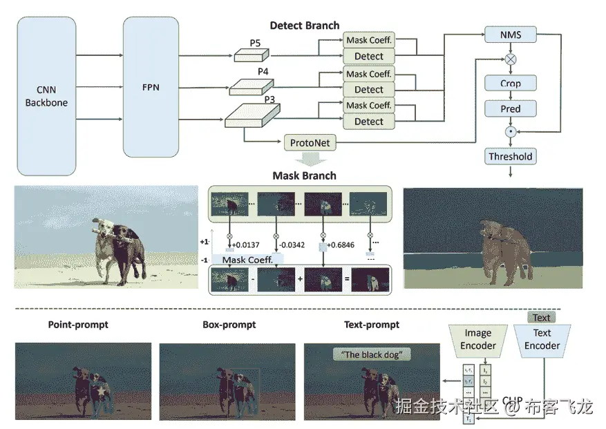 一个牛的图示 由描述自动生成