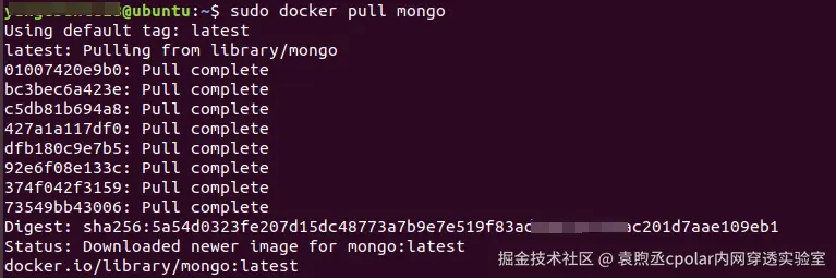 image-20240221134922055