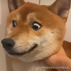 image-20250125094043978